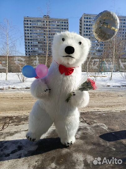 Ростовая кукла Белый Мишка (все районы города)