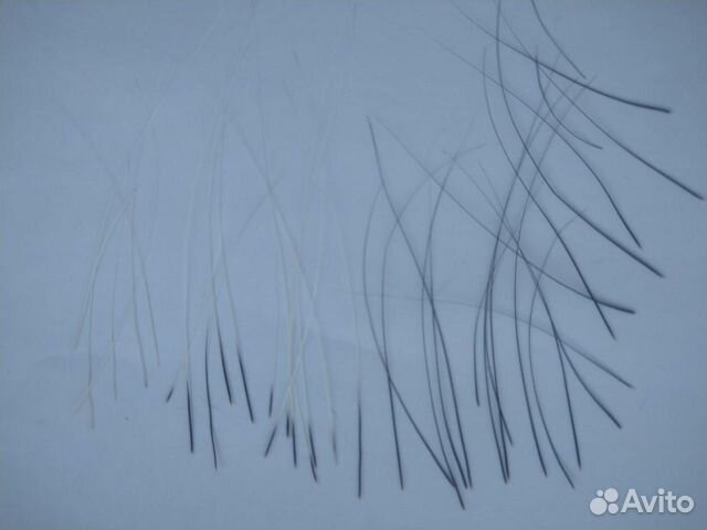 Кошачьи усы