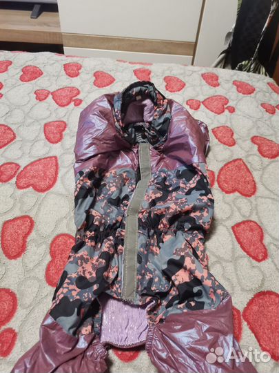 Одежда для собак мелких пород пакетом