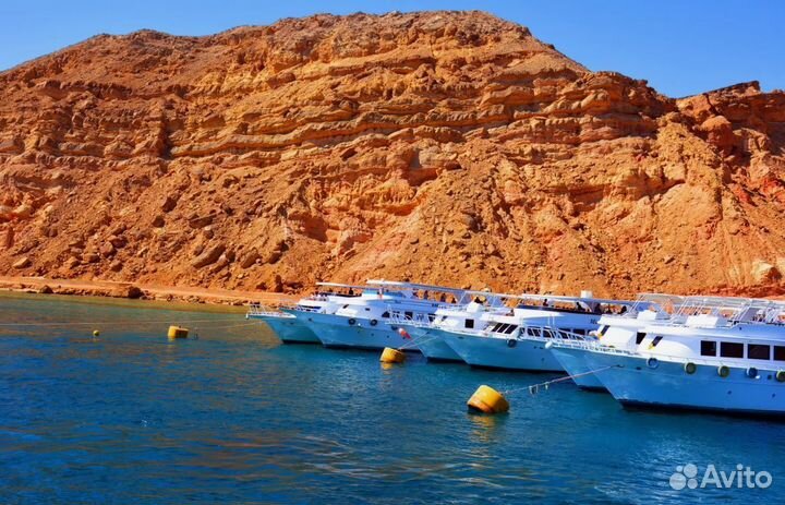 Горящая путевка в г. Шарм-Эль-Шейх от 7 нч