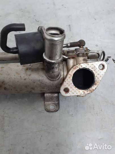 Радиатор EGR Volkswagen Caddy 3 2008 03G131512