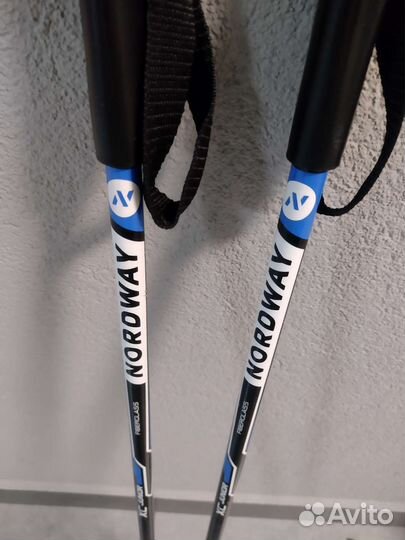 Лыжные палки