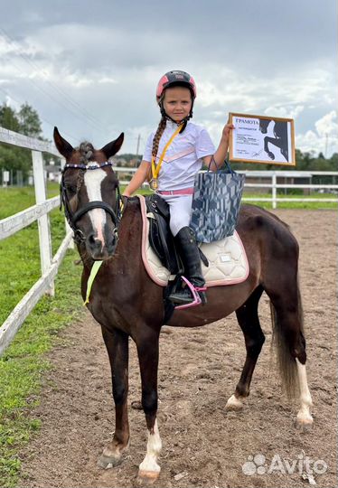 Пони в спорт