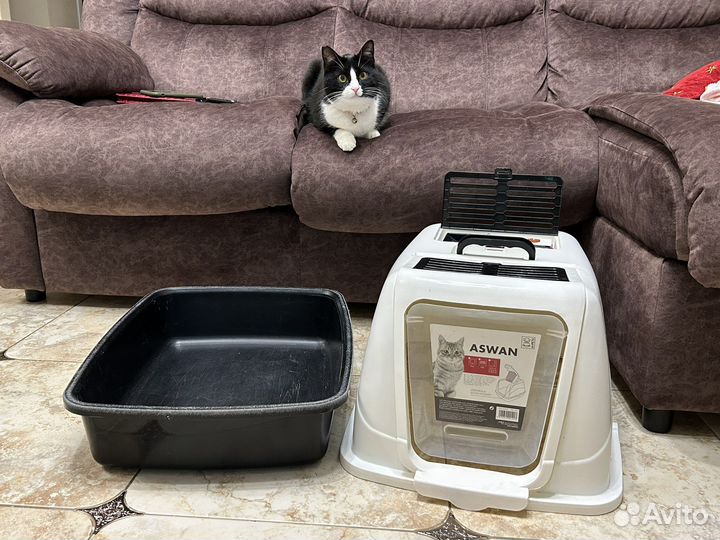 Туалет лоток для кошек