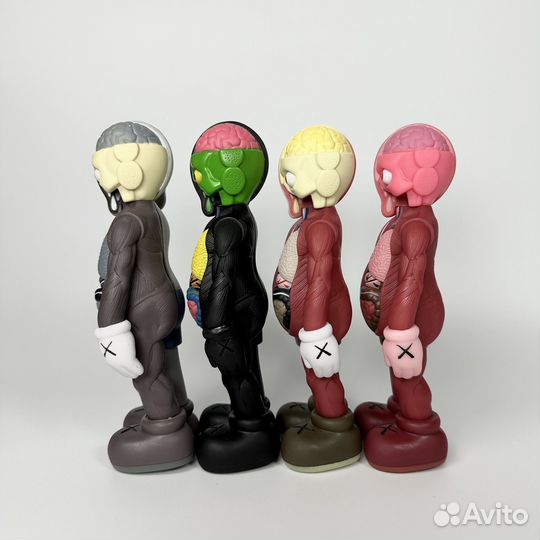 Kaws Anatomy