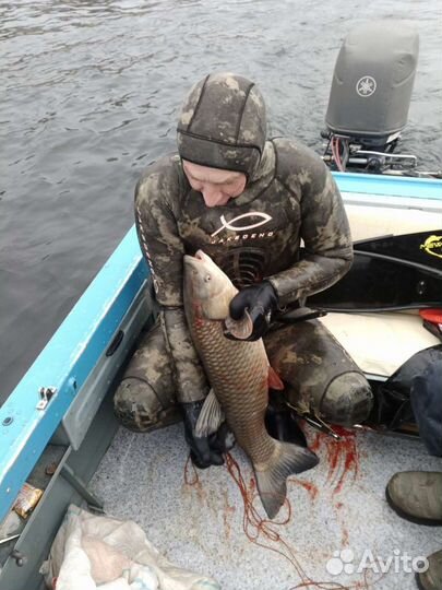 Рыбалка и отдых