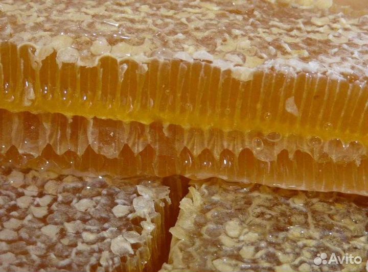 Натуральный мед, соты, перга, прополис