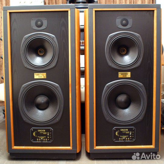 Tannoy Kingdom 12