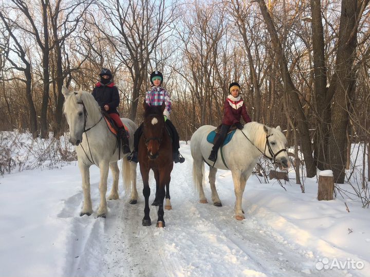 Конные прогулки, фотосессии