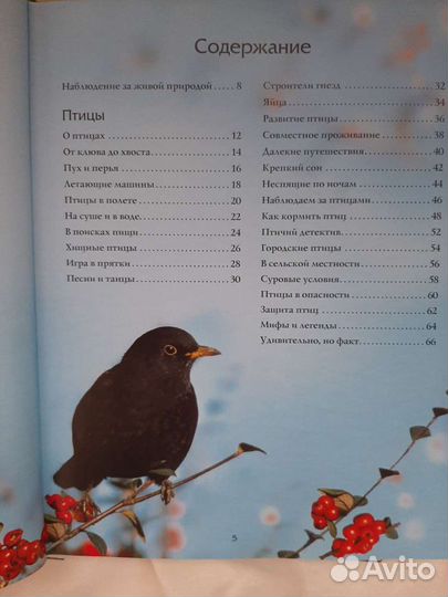 Иллюстрированная энциклопедия природы