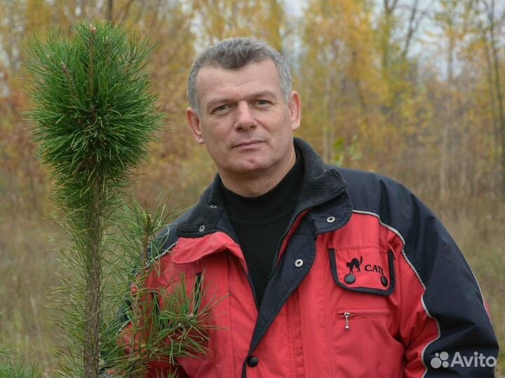 Ремонт плит, духовых шкафов, варочных панелей