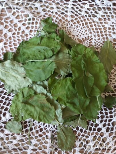 Сушеные листья,травы,овощи для грызунов