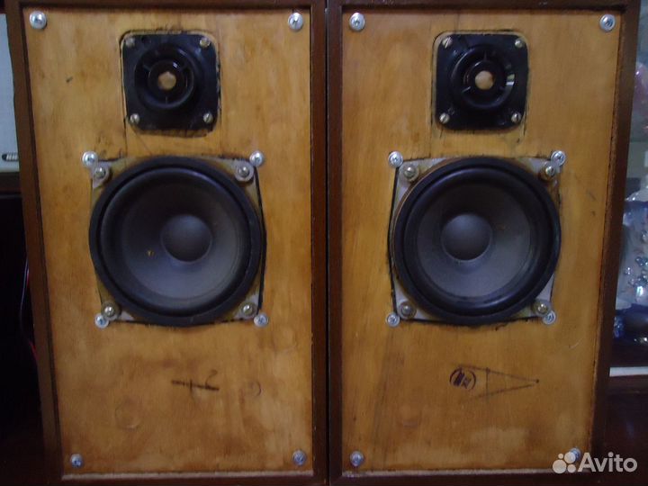 Громкоговорители Россия