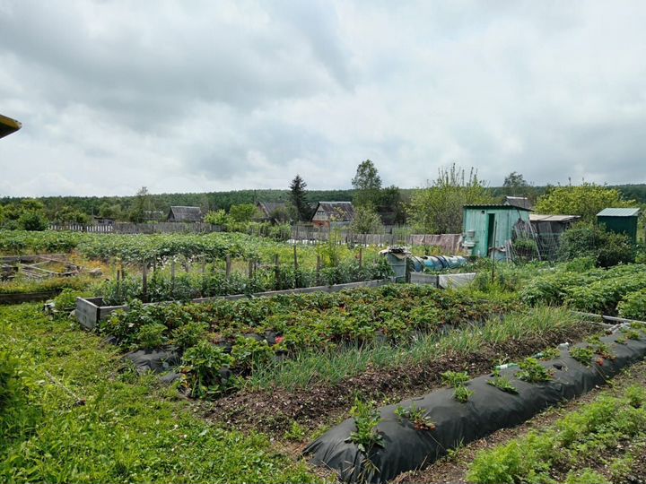 Дача 15 м² на участке 12 сот.