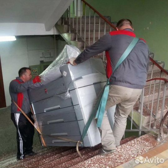 Опытные грузчики