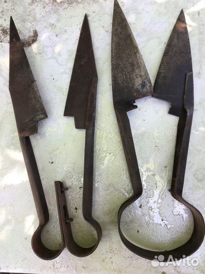 Ножницы для стрижки овец