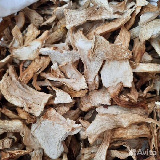 Белые, подберезовики, подосиновики, рыжики, грузди