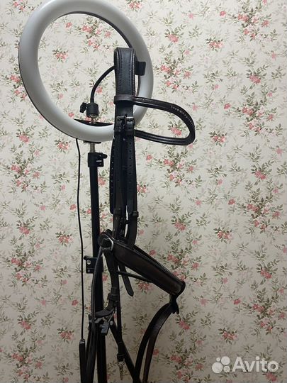 Уздечка для лошади