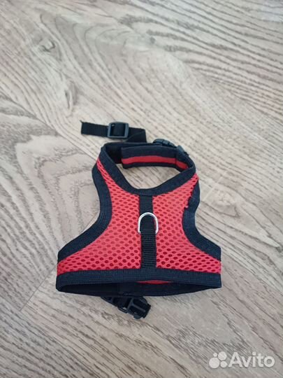 Шлейка для маленьких животных