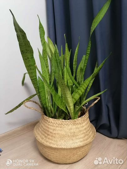 Корзина плетеная IKEA