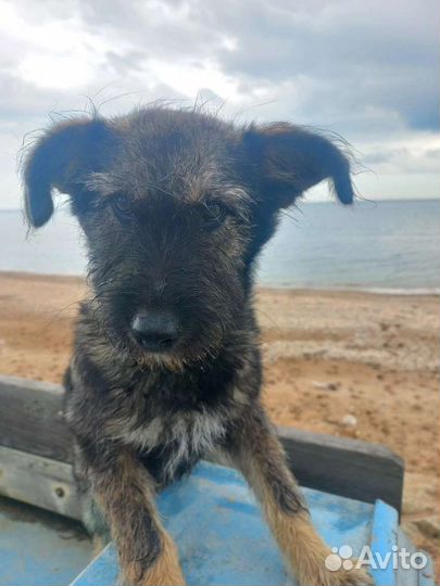 Не родилась красивой. Совсем не замечают Чару