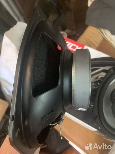 Автомобильные колонки лопухи