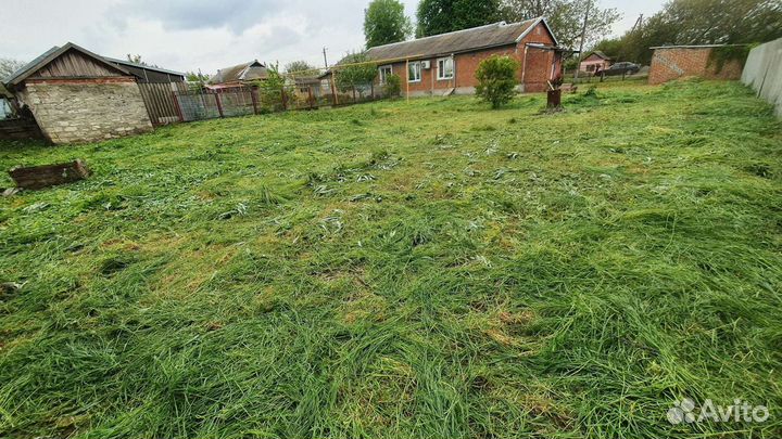 Покос травы,Зачистка участков,Спил деревьев