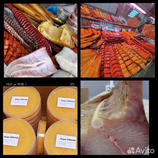 Северная рыба