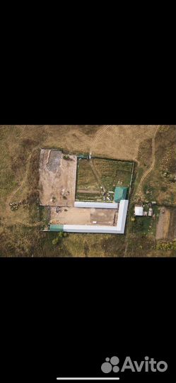 Фермерское хозяйство Честная ферма