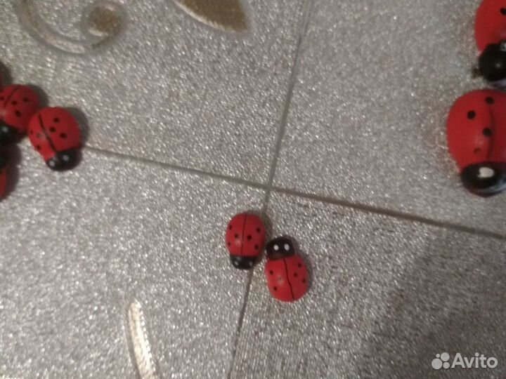 Божьи коровки