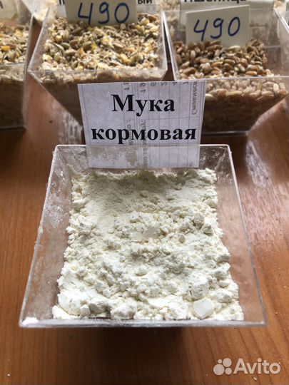 Мука кормовая пшеничная