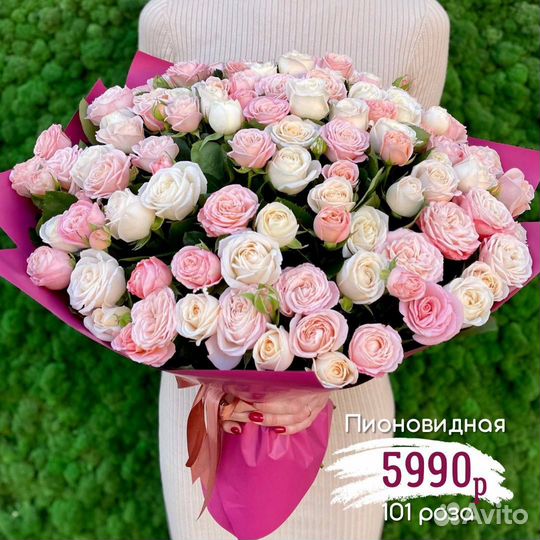 21/51/101 пионовидная роза с доставкой по Саратову