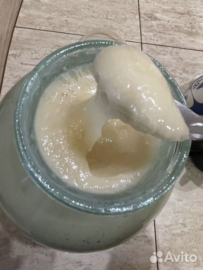 Липовый мед