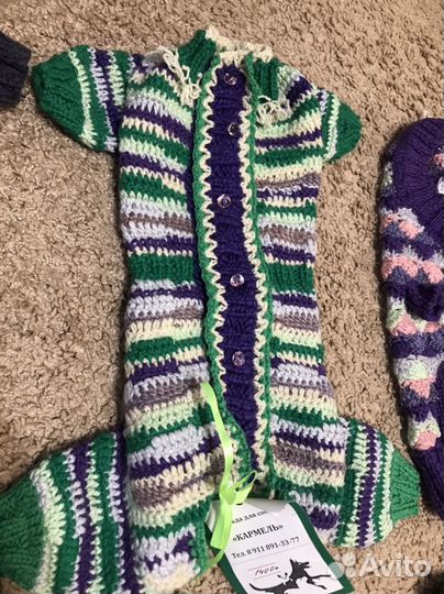 Одежда для маленьких собак