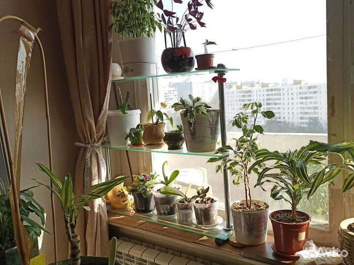 Полка для цветов и рассады