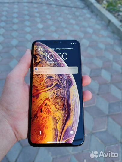 iPhone Xs Max, 256 ГБ