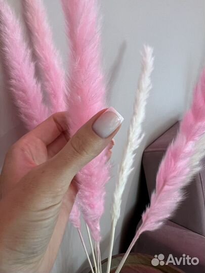 Маникюр и педикюр