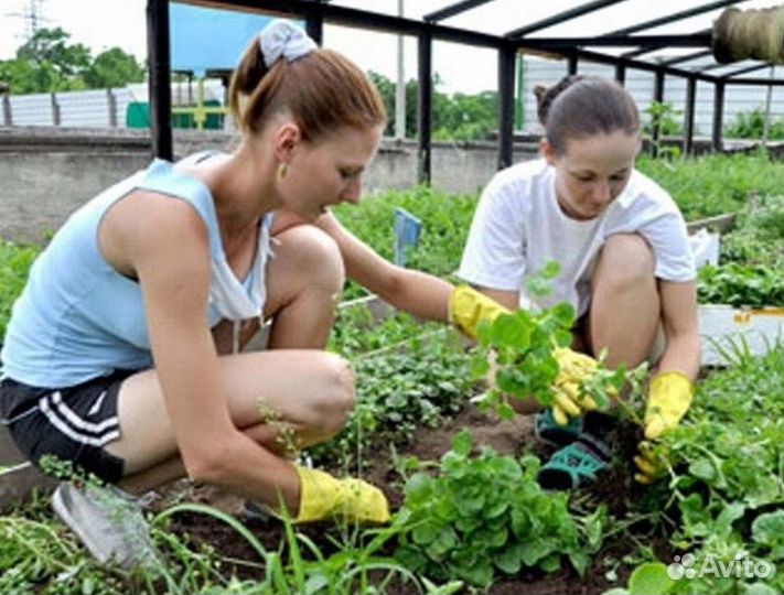 Чернозем для огорода. Навалом и мешками