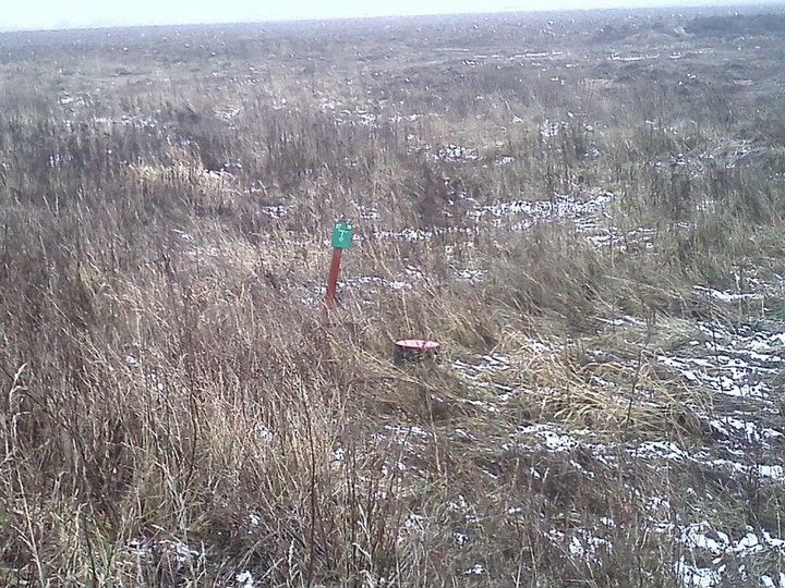 Участок 4 га (СНТ, ДНП)