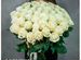 Букет из 25 белых роз Красноярск