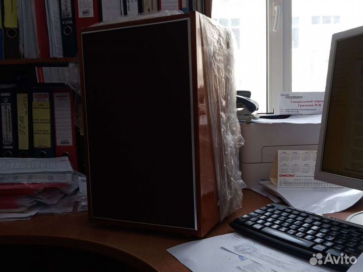 Акустика, 10 мас-1, 25ас-309, Zenith Allegro