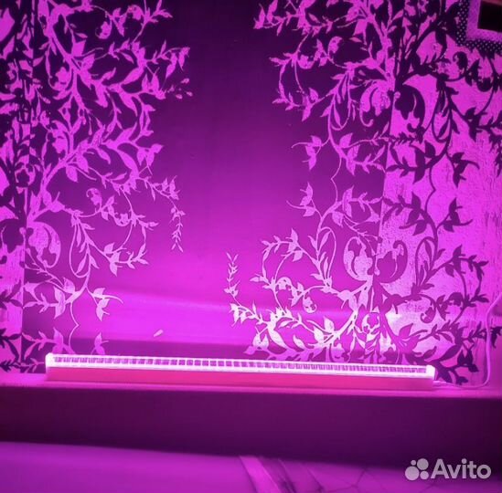 Фитолампа, фитосвет для растений/рассады