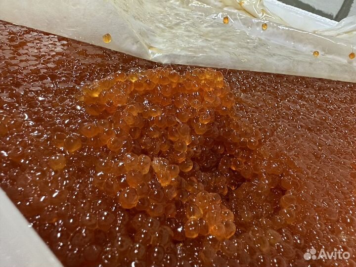 Красная икра горбуши