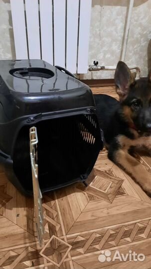 Переноска для животных