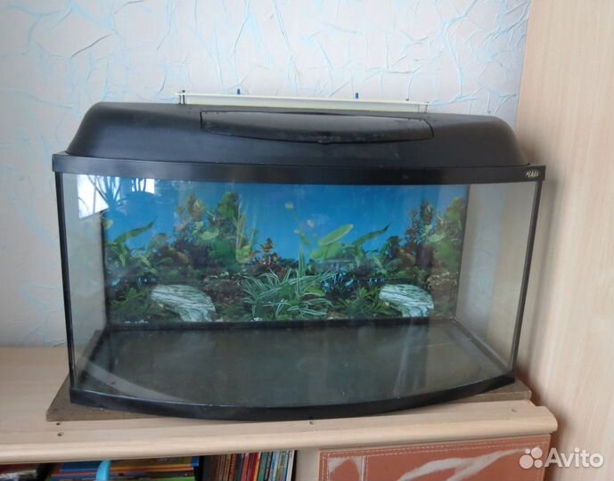 Аквариум