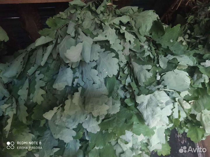 Дубовые веники для бани
