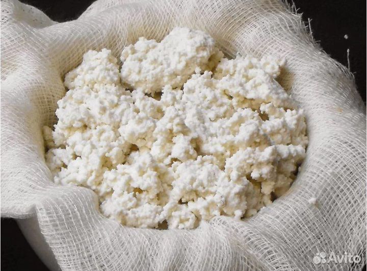 Домашнее молоко, творог, сыр