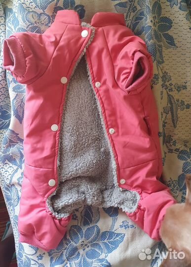 Курточка для собаки