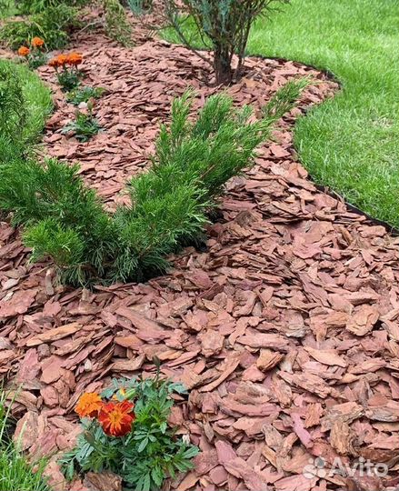 Мульча кора лиственницы