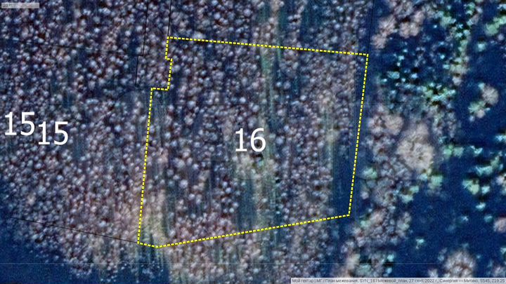 Участок 1,06 га (СНТ, ДНП)